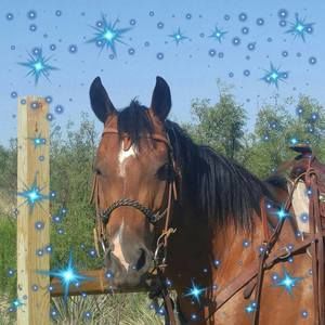 Meet your Posher, Sherrie